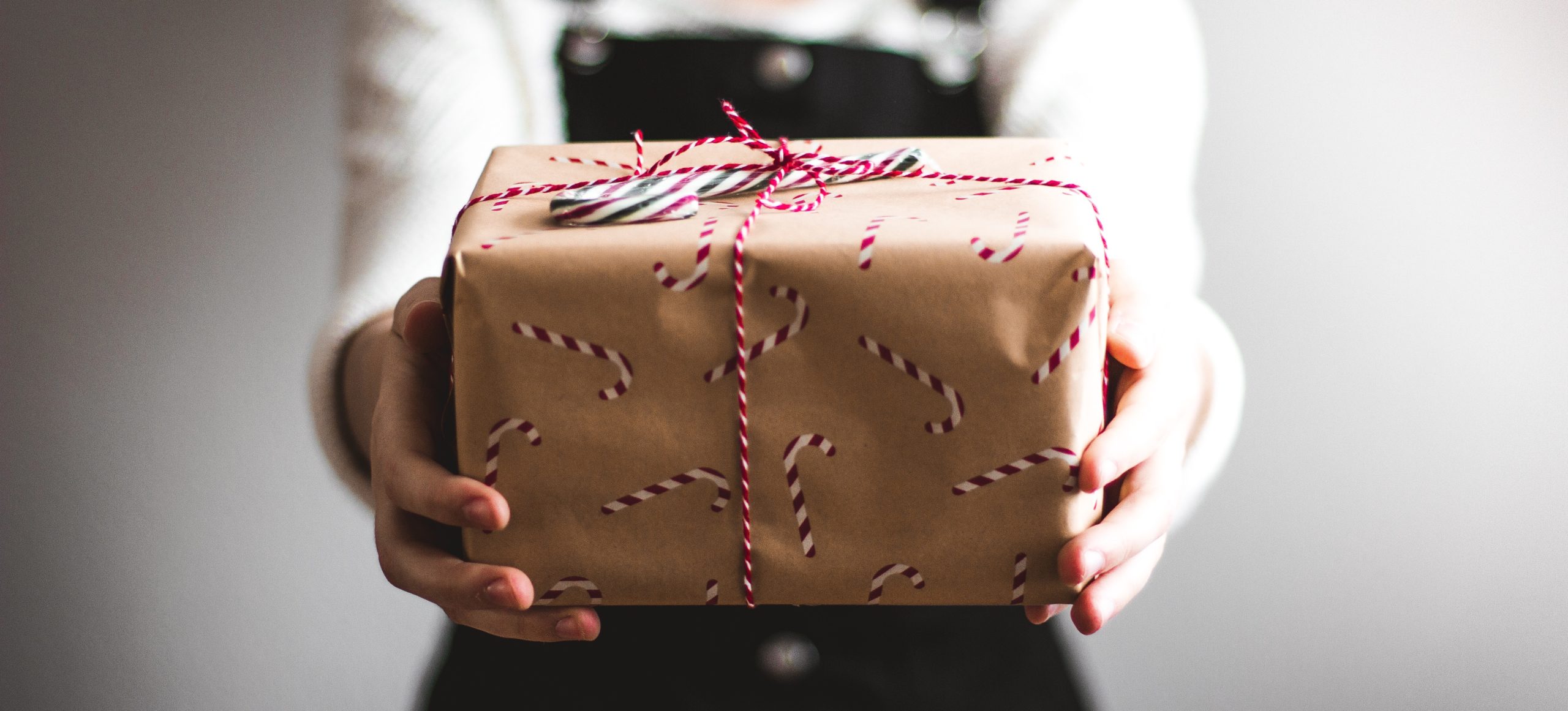 December 2018 Newsletter