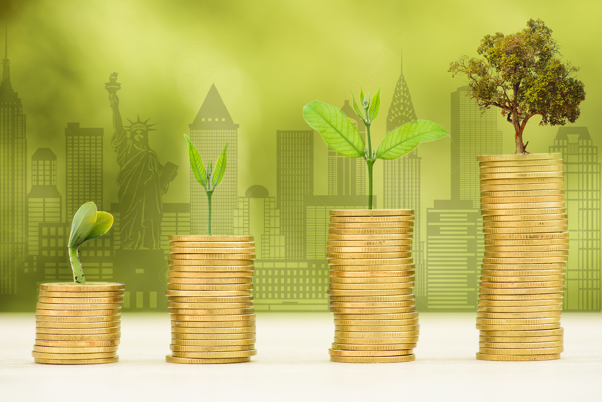 Newsletter - You should know what you are investing into