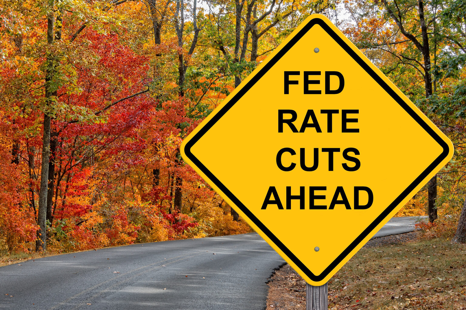 Fed Cut Rates 2024 Kaila Constantine